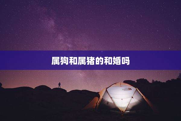 属狗和属猪的和婚吗