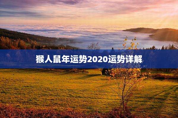 猴人鼠年运势2020运势详解