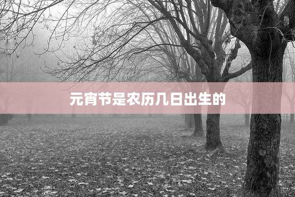 元宵节是农历几日出生的