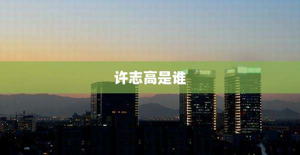 许志高是谁