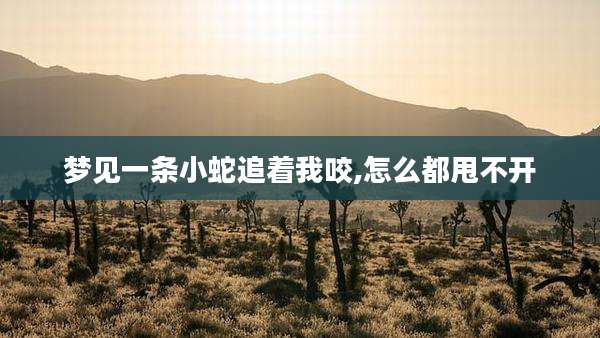 梦见一条小蛇追着我咬,怎么都甩不开