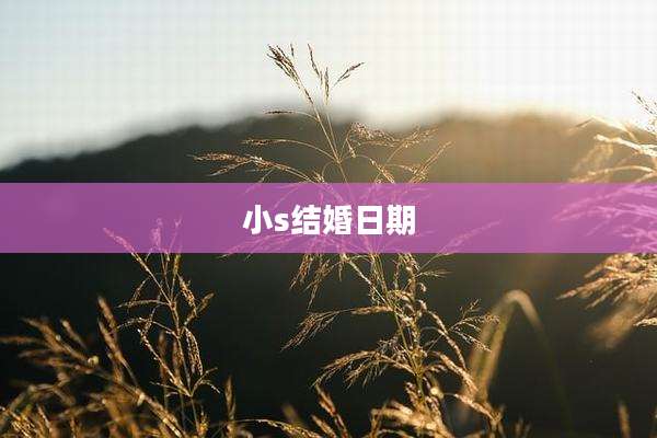 小s结婚日期