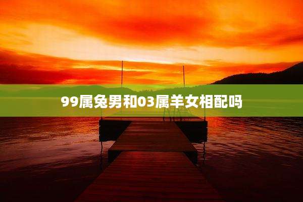 99属兔男和03属羊女相配吗