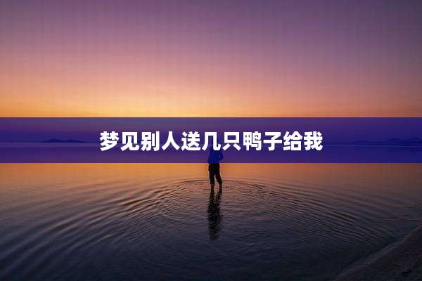 梦见别人送几只鸭子给我