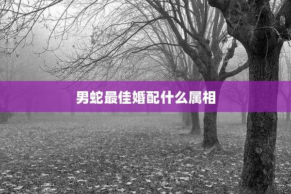 男蛇最佳婚配什么属相