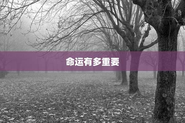 命运有多重要