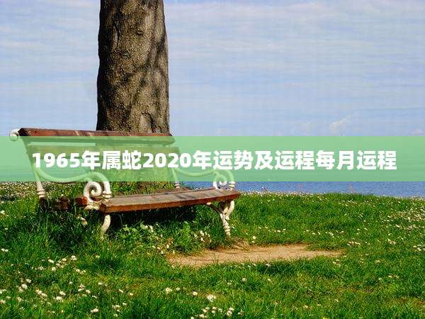 1965年属蛇2020年运势及运程每月运程