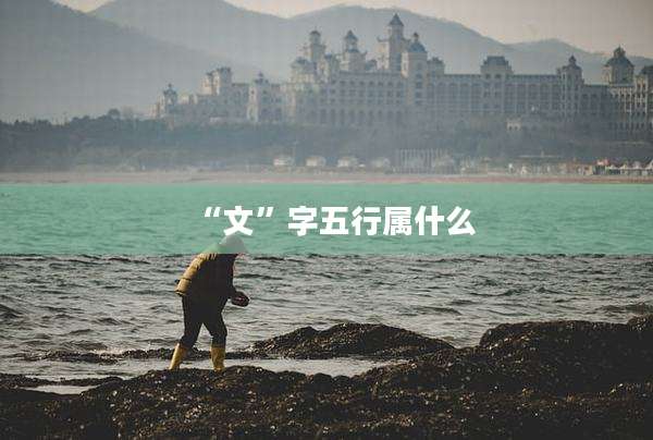 “文”字五行属什么