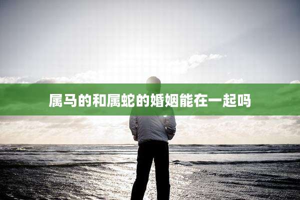 属马的和属蛇的婚姻能在一起吗