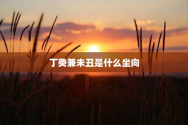 丁癸兼未丑是什么坐向