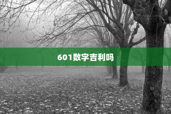 601数字吉利吗
