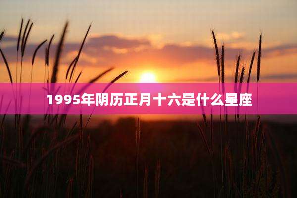 1995年阴历正月十六是什么星座