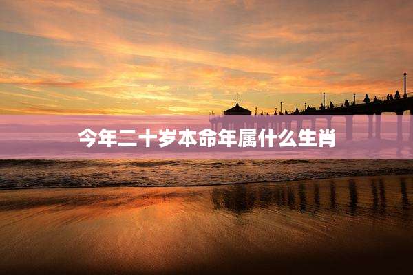 今年二十岁本命年属什么生肖