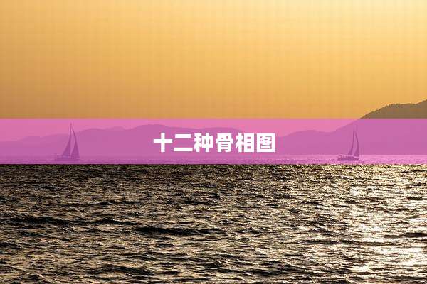 十二种骨相图