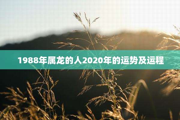 1988年属龙的人2020年的运势及运程
