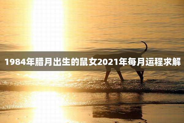 1984年腊月出生的鼠女2021年每月运程求解