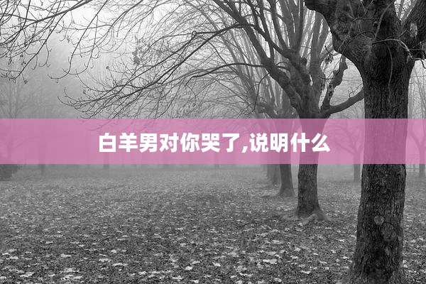 白羊男对你哭了,说明什么