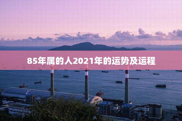 85年属的人2021年的运势及运程