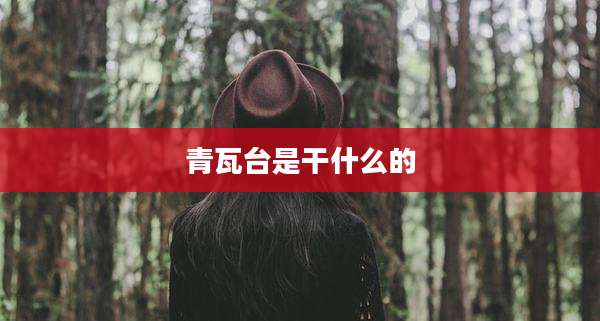 青瓦台是干什么的