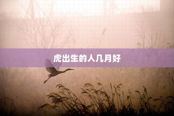 虎出生的人几月好