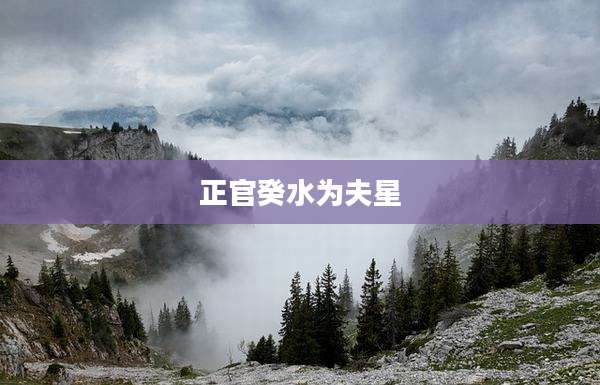 正官癸水为夫星