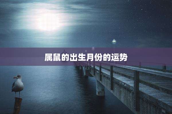 属鼠的出生月份的运势