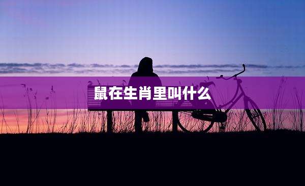 鼠在生肖里叫什么
