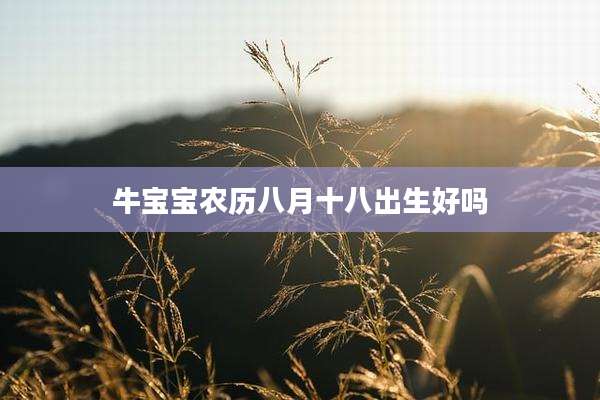 牛宝宝农历八月十八出生好吗