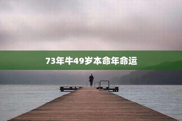 73年牛49岁本命年命运