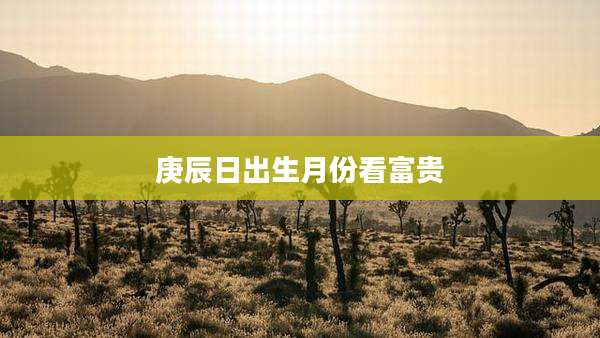 庚辰日出生月份看富贵