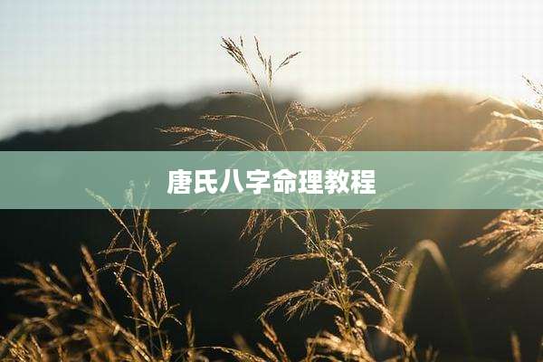 唐氏八字命理教程