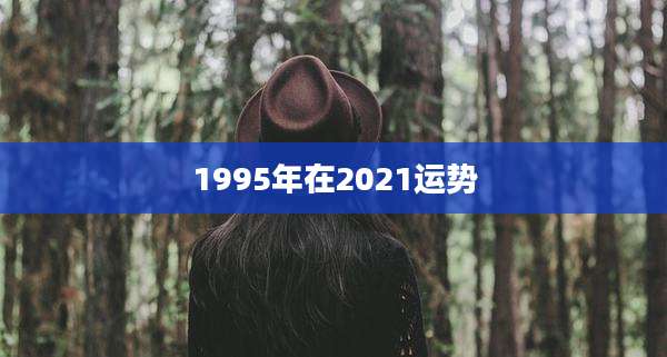 1995年在2021运势