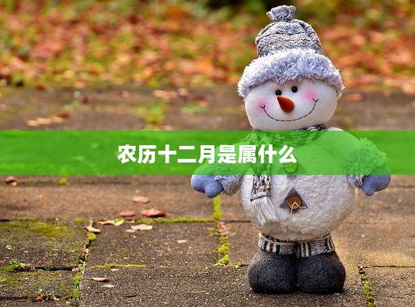农历十二月是属什么
