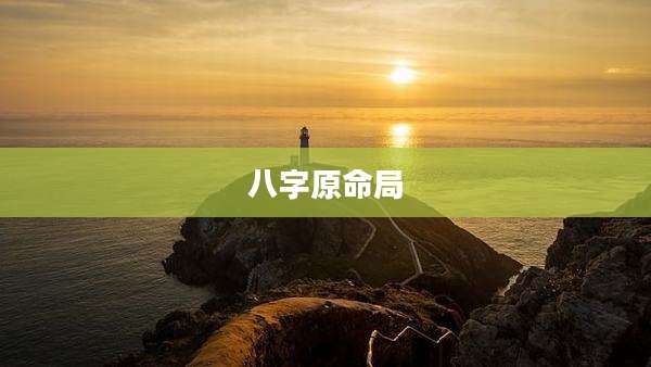 八字原命局