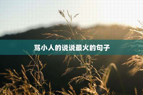 骂小人的说说最火的句子
