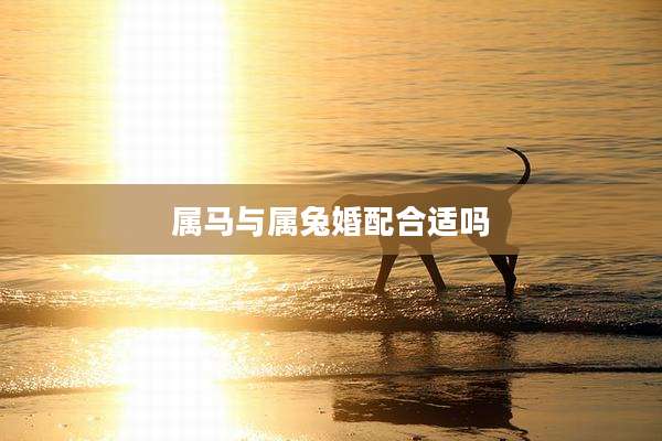 属马与属兔婚配合适吗