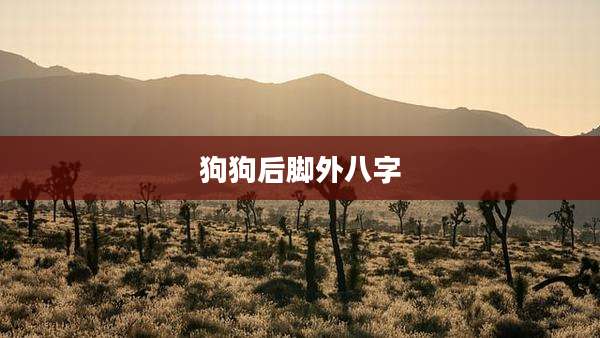 狗狗后脚外八字