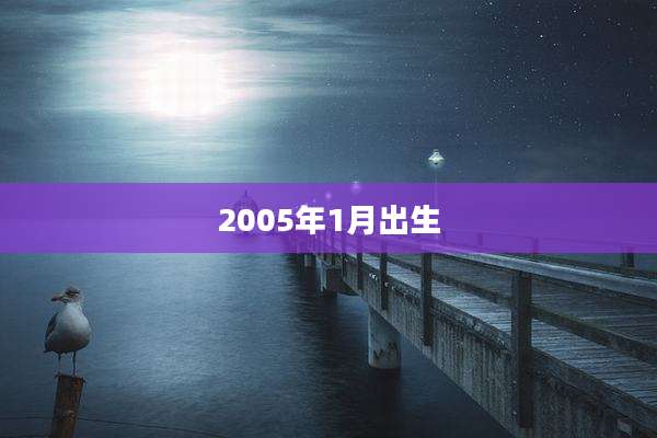 2005年1月出生