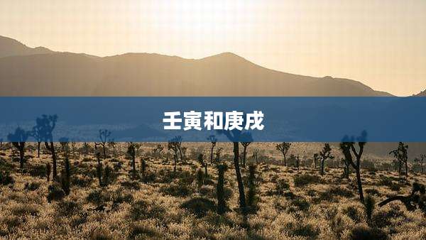 壬寅和庚戌