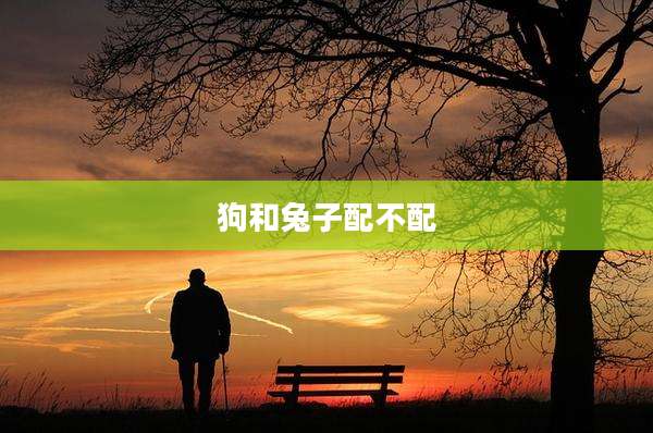 狗和兔子配不配
