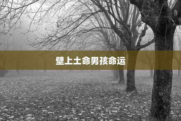 壁上土命男孩命运