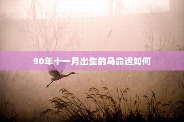 90年十一月出生的马命运如何