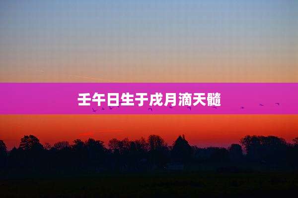 壬午日生于戌月滴天髓