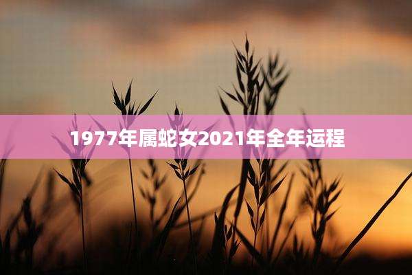 1977年属蛇女2021年全年运程