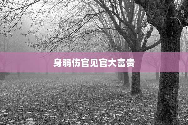 身弱伤官见官大富贵