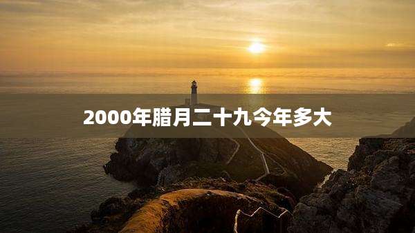 2000年腊月二十九今年多大