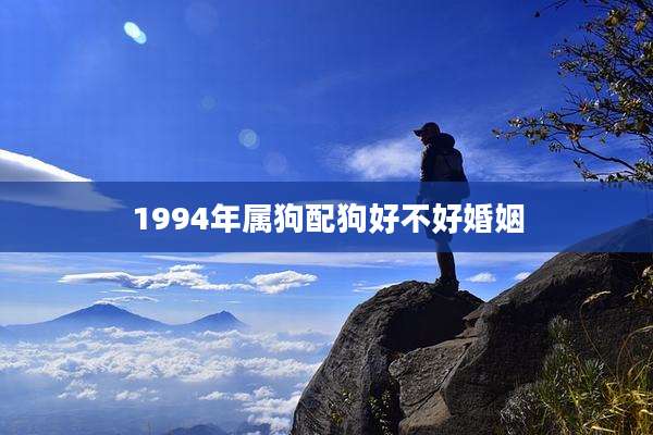 1994年属狗配狗好不好婚姻