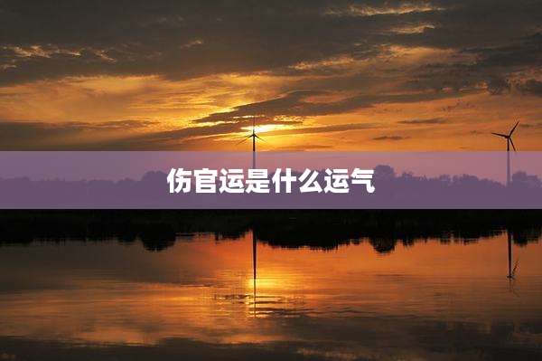 伤官运是什么运气