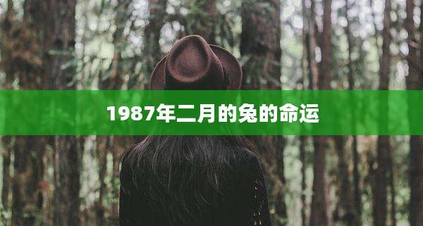 1987年二月的兔的命运