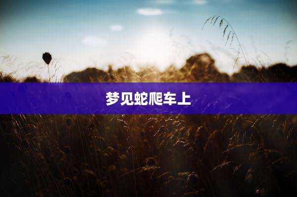 梦见蛇爬车上